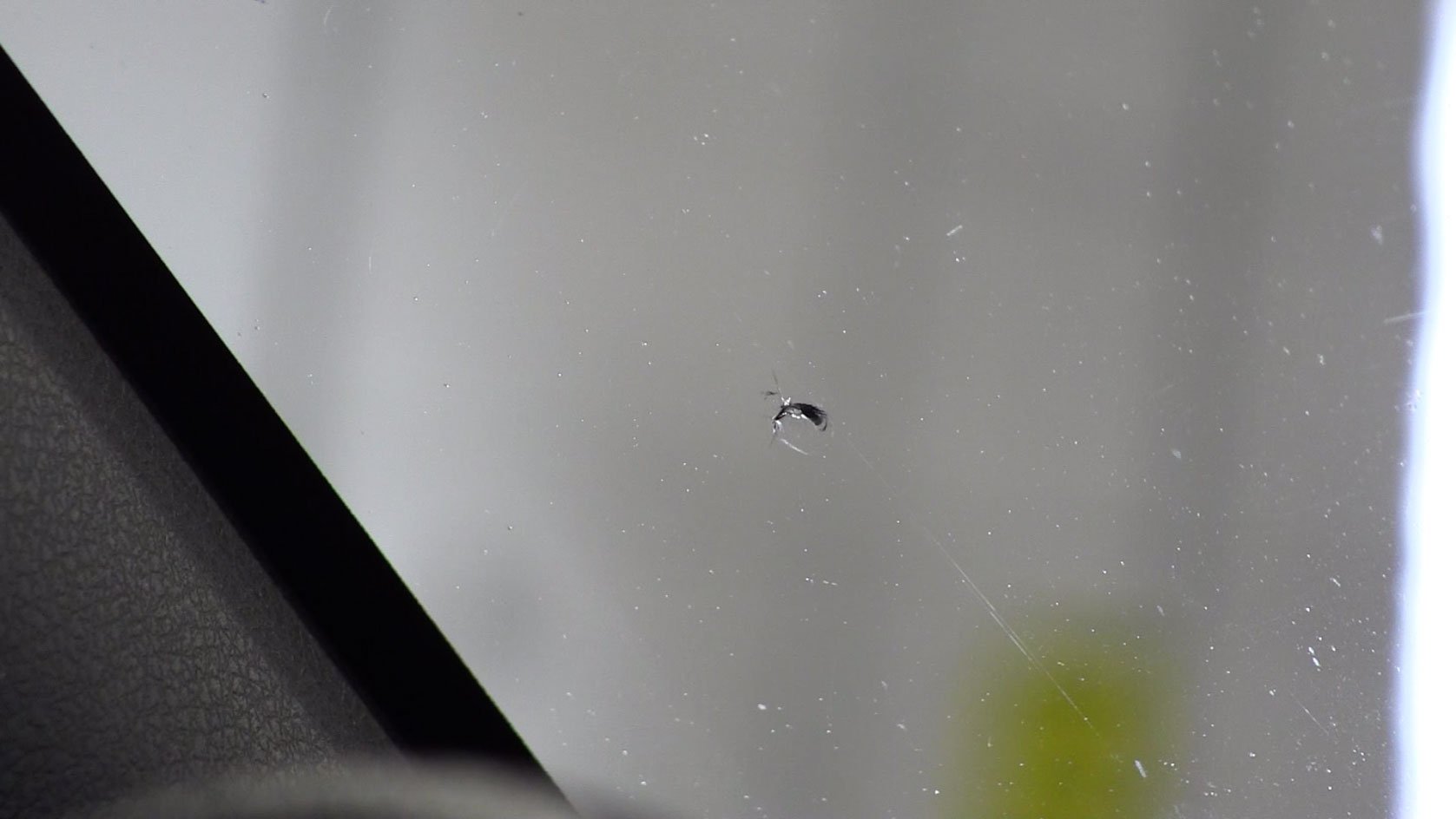 Rock Chip In Windshield Before Repair