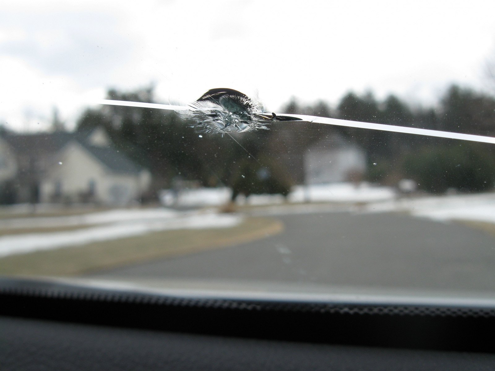 Windshield Rock Chip